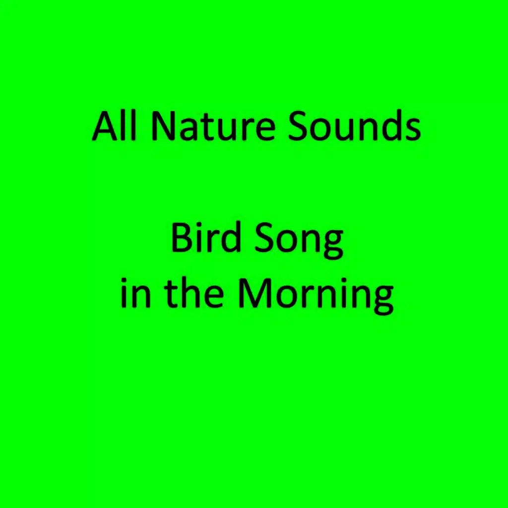 Birds Singing in the Morning