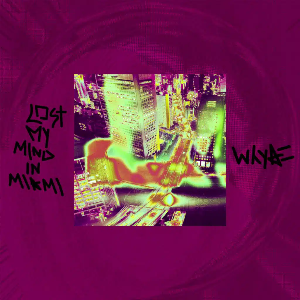 Lost My Mind in Miami