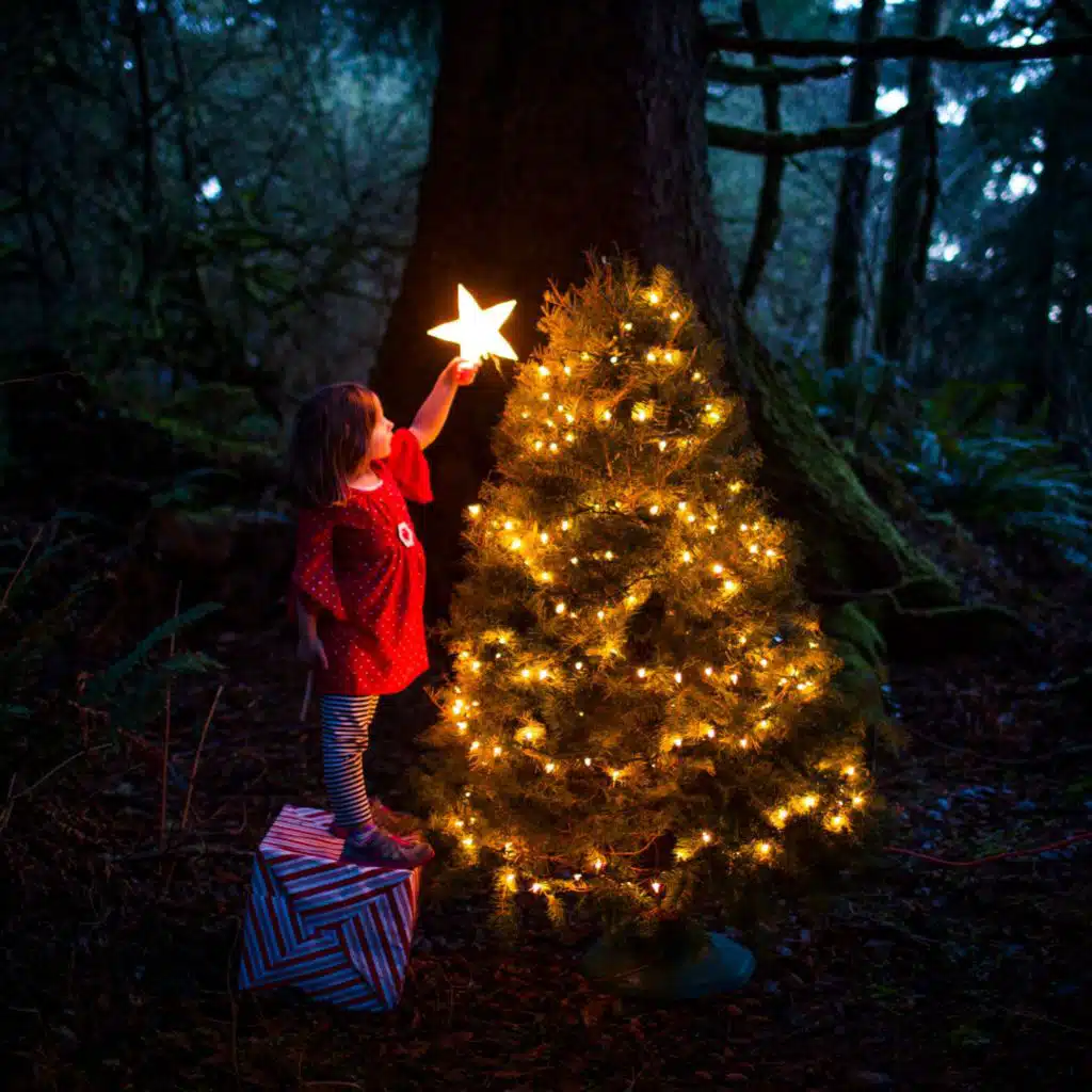Kinderhörspiel - Die Weihnachtstanne