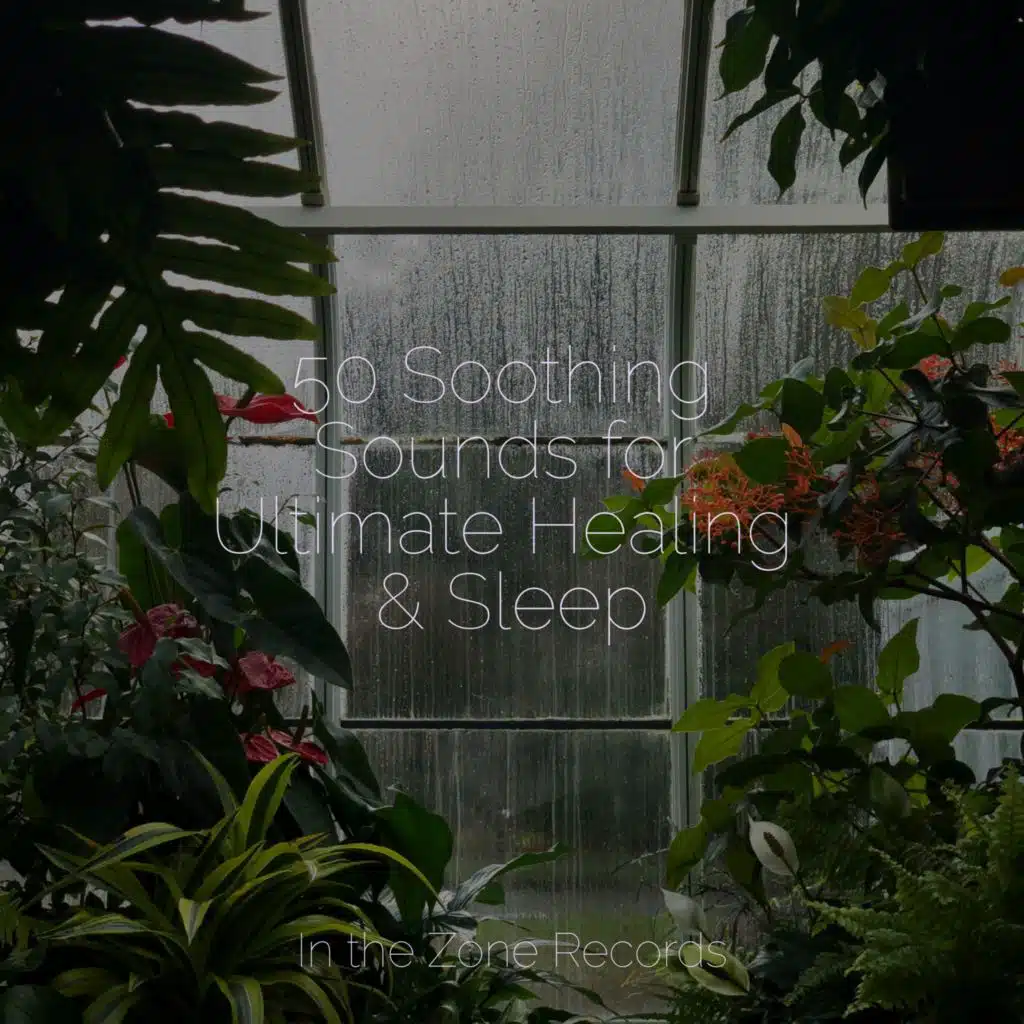 50 Soothing Sounds for Ultimate Healing & Sleep