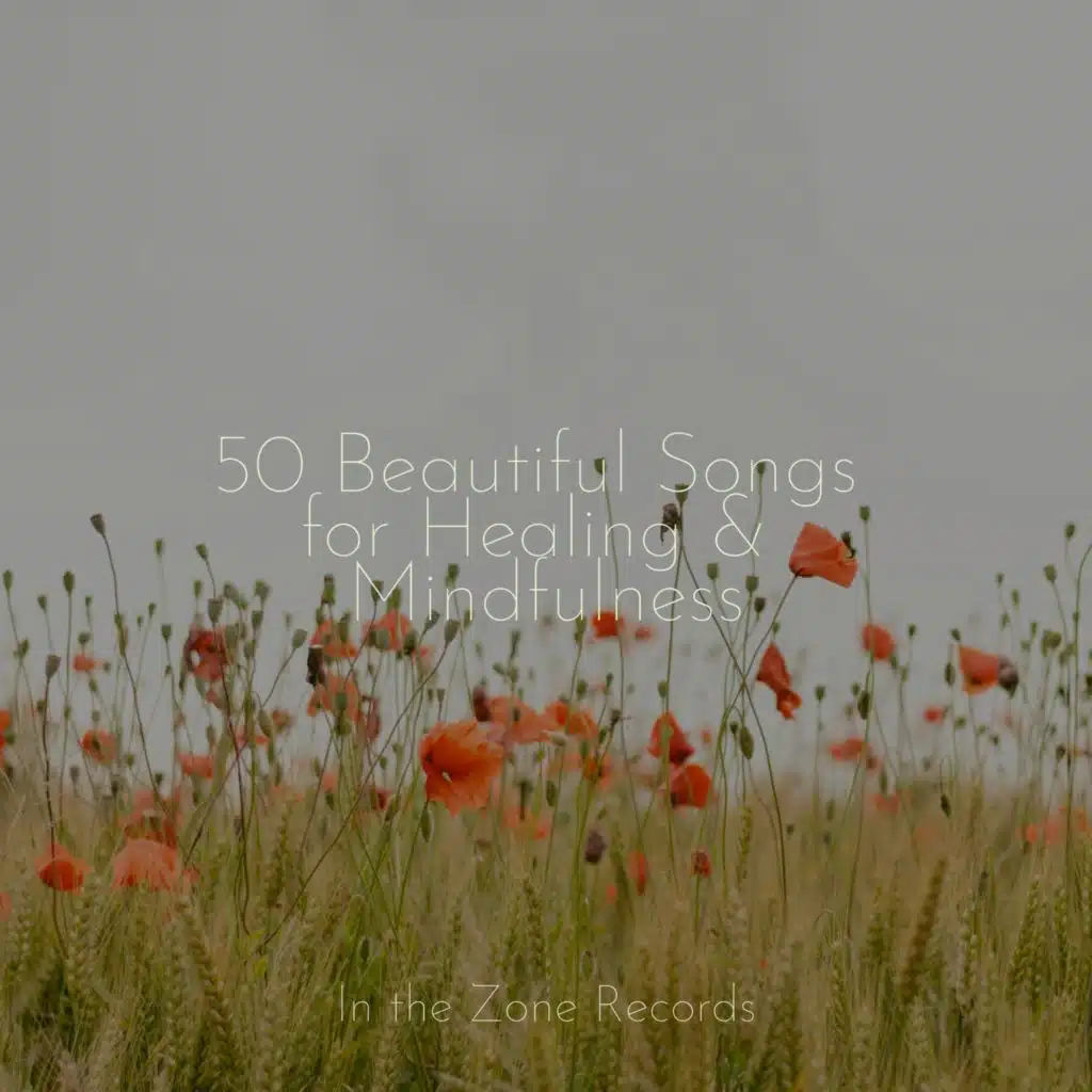 50 Beautiful Songs for Healing & Mindfulness