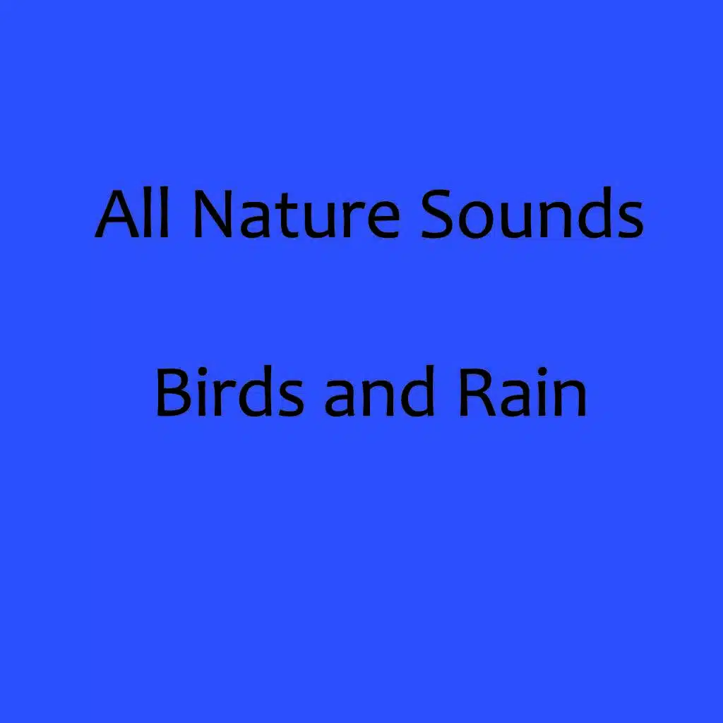 Birds Chirping and Rain