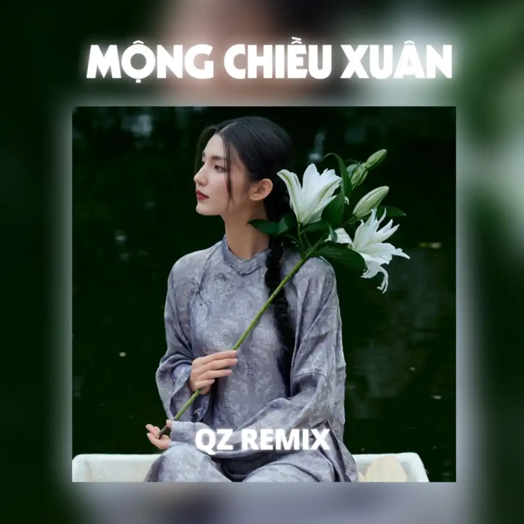 Mộng Chiều Xuân (Remix)