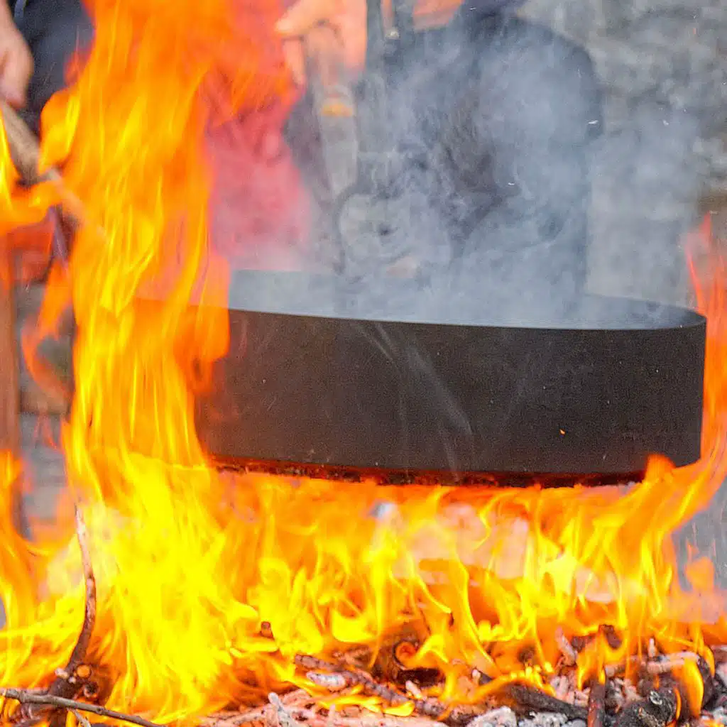 Did cooking make us human?