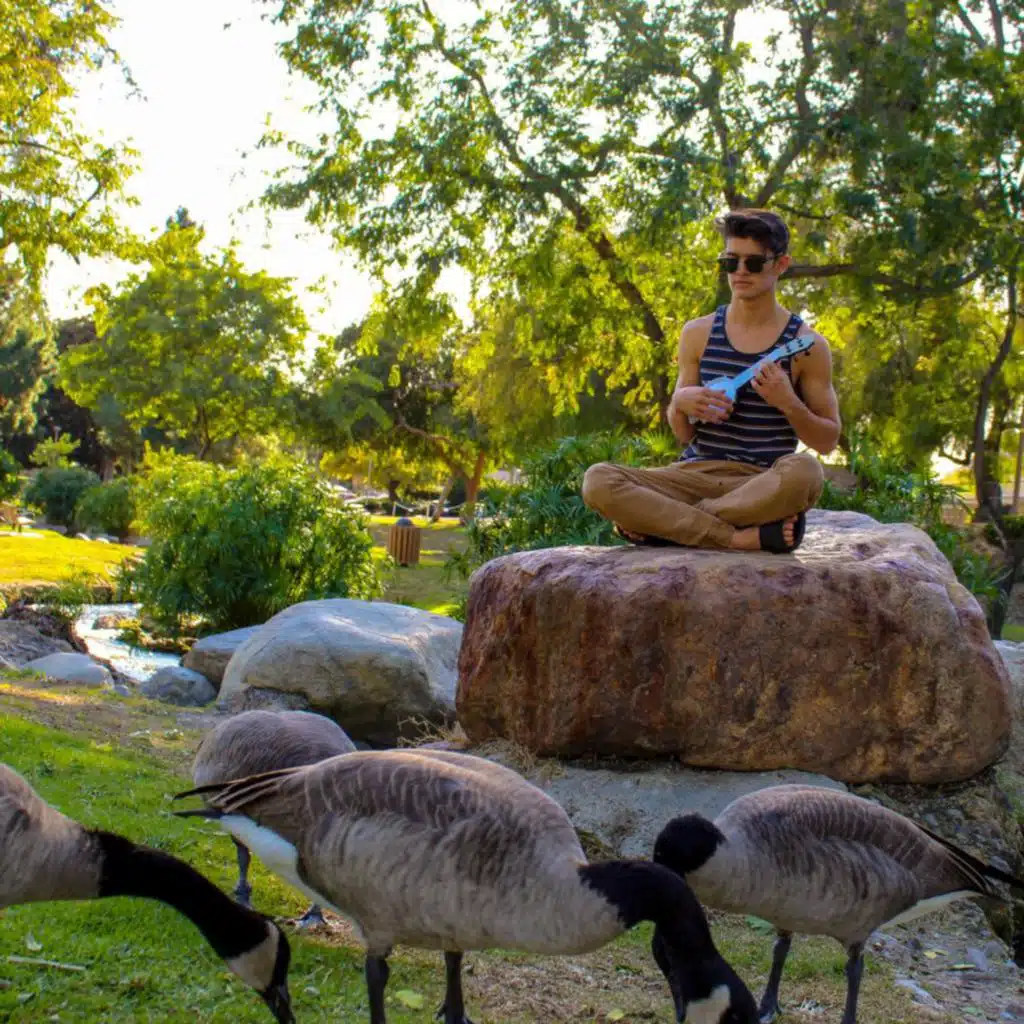 Cold Hard Shadow (of Myself)