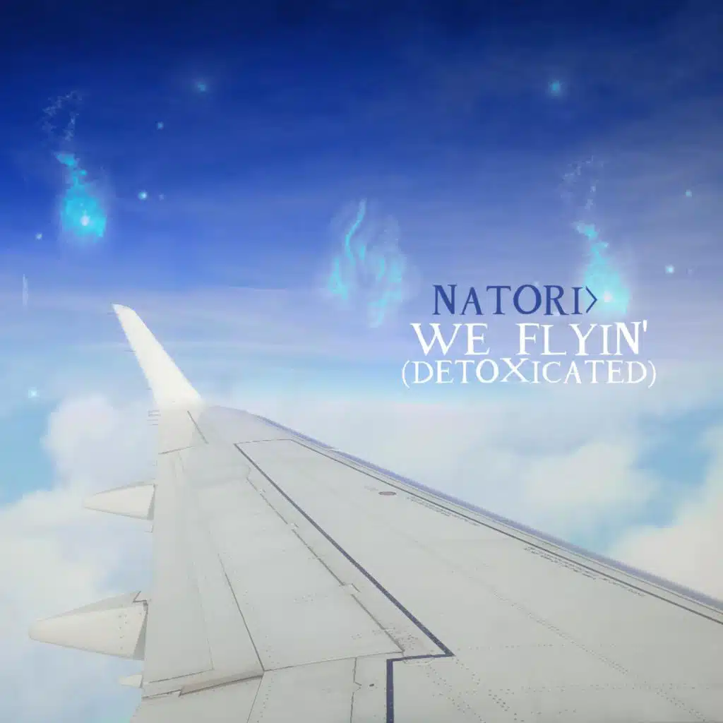 NATORI>