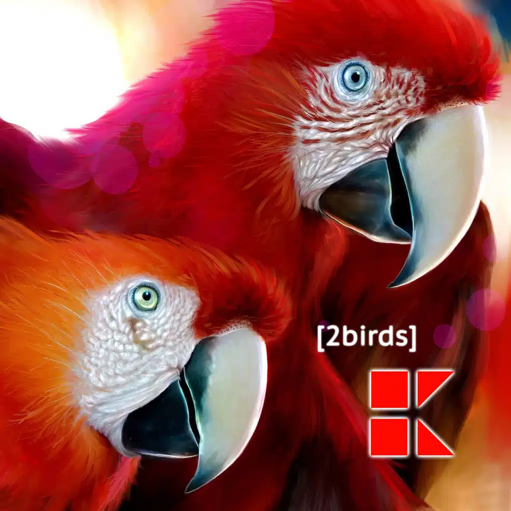 2BIRDS (Radio Edit)