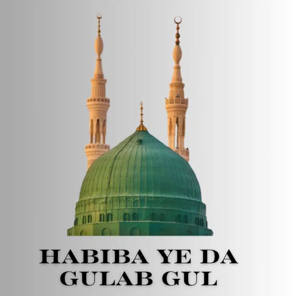 Habiba Ye Da Gulab Gul (feat. Qari Hameed Saeed)