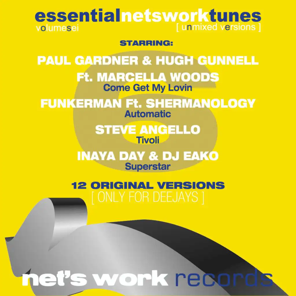 Essential Netswork Tunes, Vol. 6