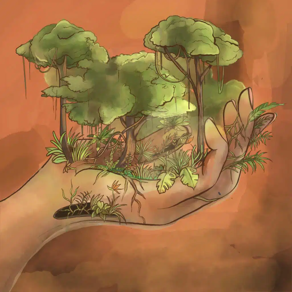 Jungle
