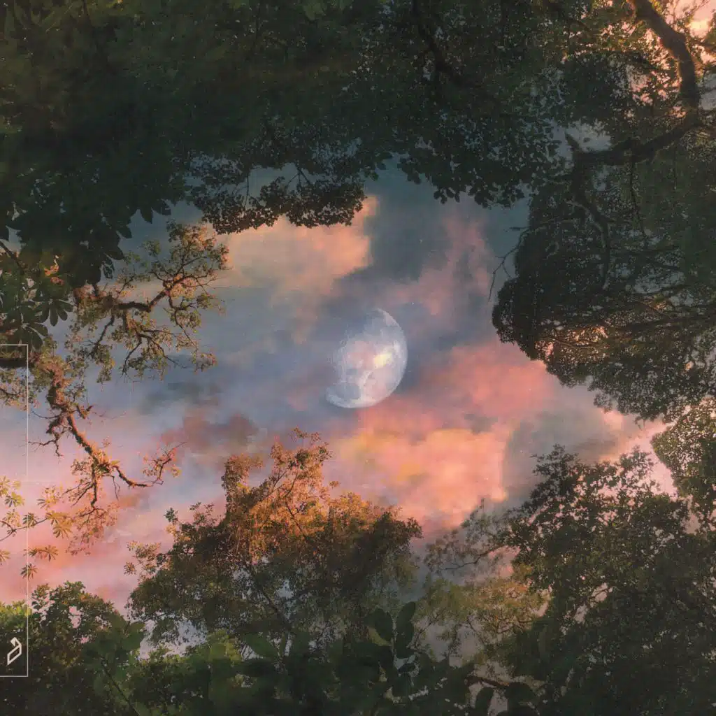 Nils Hoffmann & The Kite String Tangle