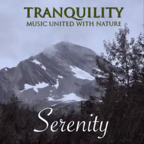 Tranquility: Music United With Nature