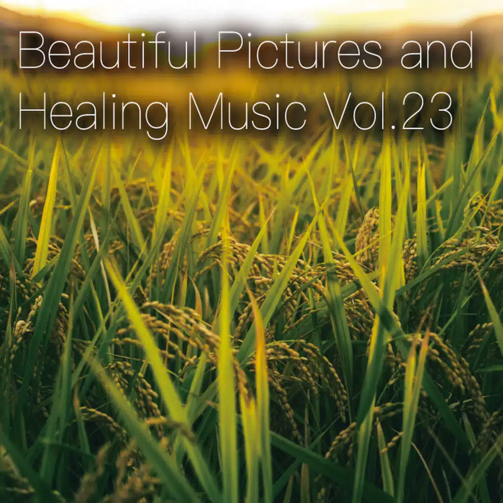 Moonlight Garden (Women's Public Opinion ver.)