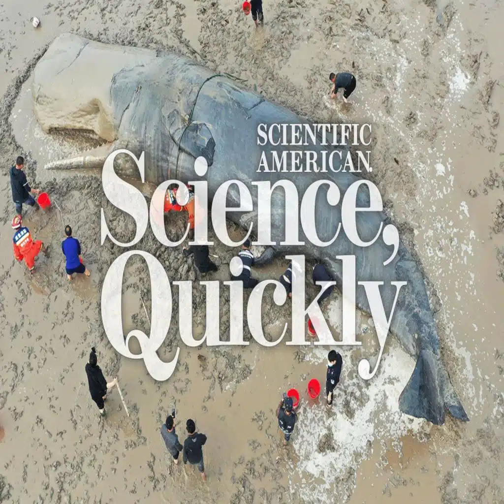 Do We Need To Save the Whales Again?