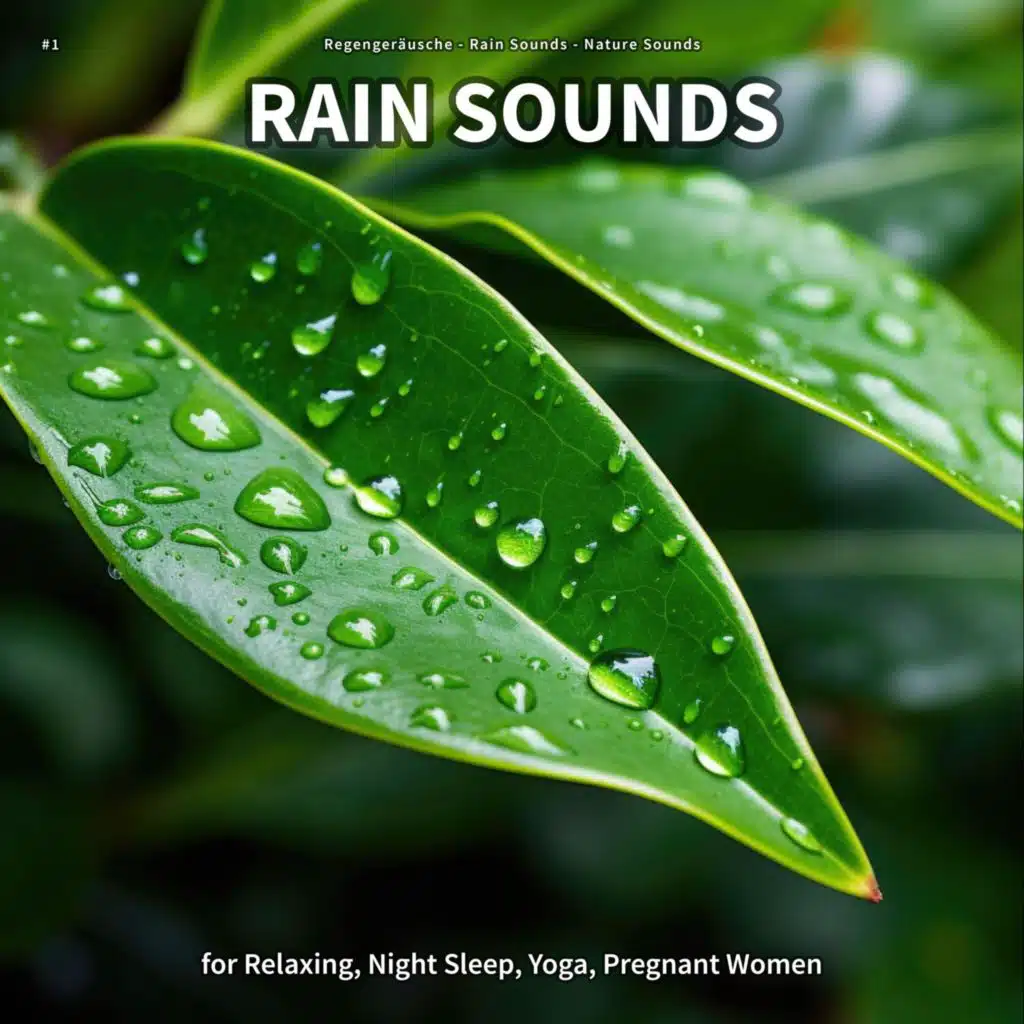 Regengeräusche, Rain Sounds & Nature Sounds