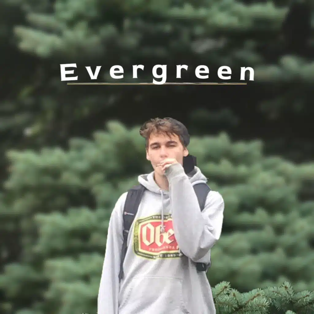 Evergreen