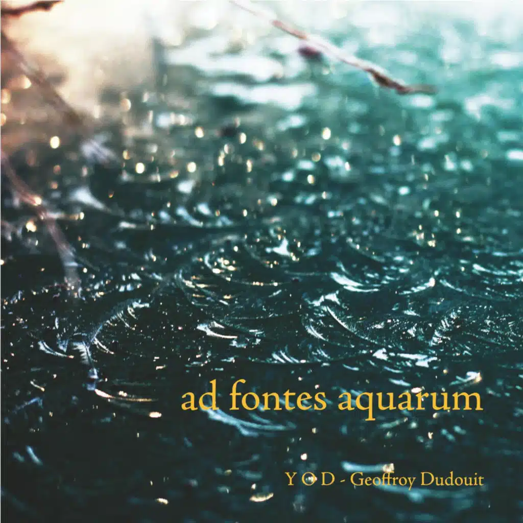 Geoffroy DUDOUIT & YOD
