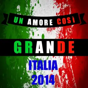Un amore così grande (Italia 2014)