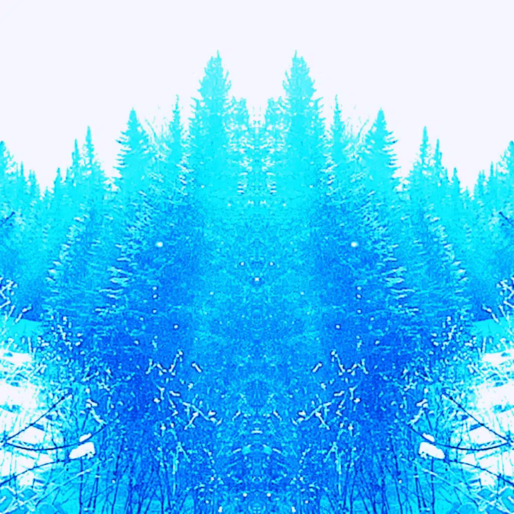 Forêts