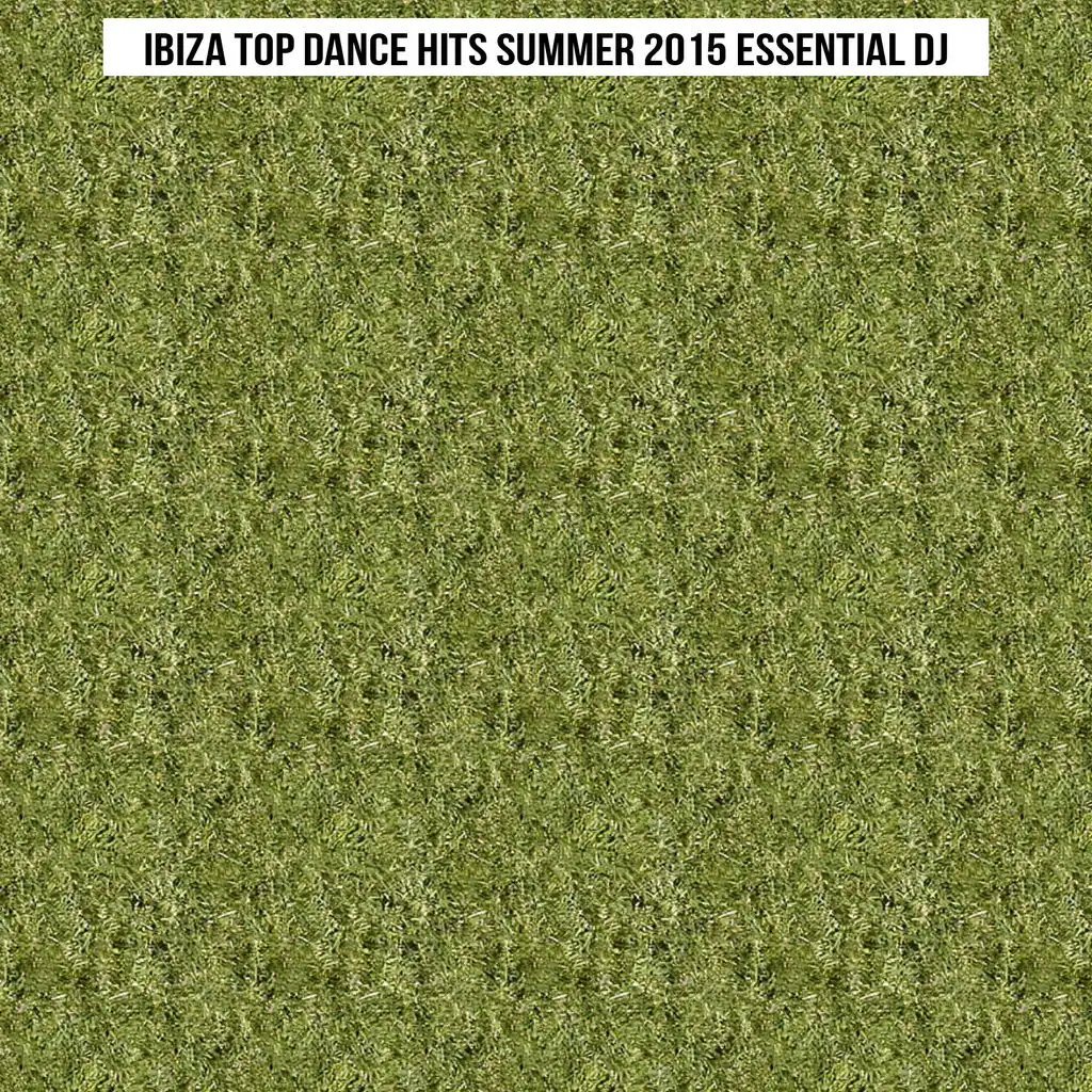 Ibiza Top Dance Hits Summer 2015 Essential DJ (Top 50 Songs Dance Hit Parade)