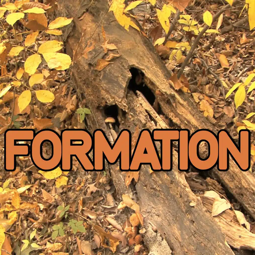 Formation - Tribute to Beyonce