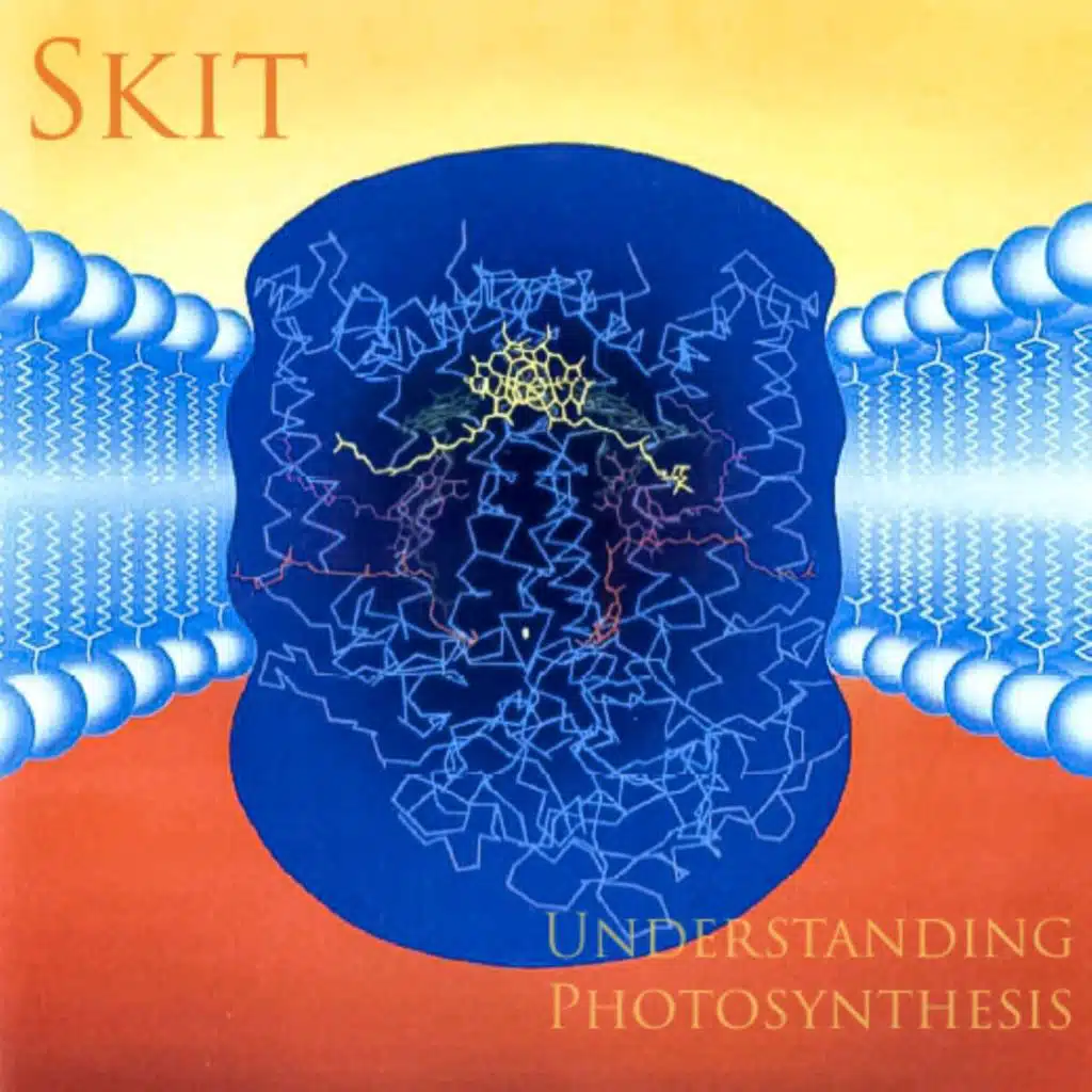 Understanding Photosynthesis