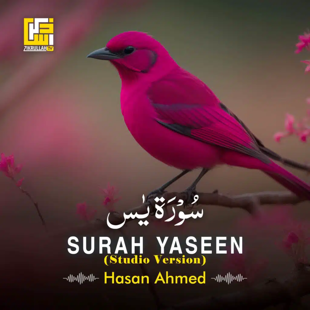 سُوْرَۃ يٰس