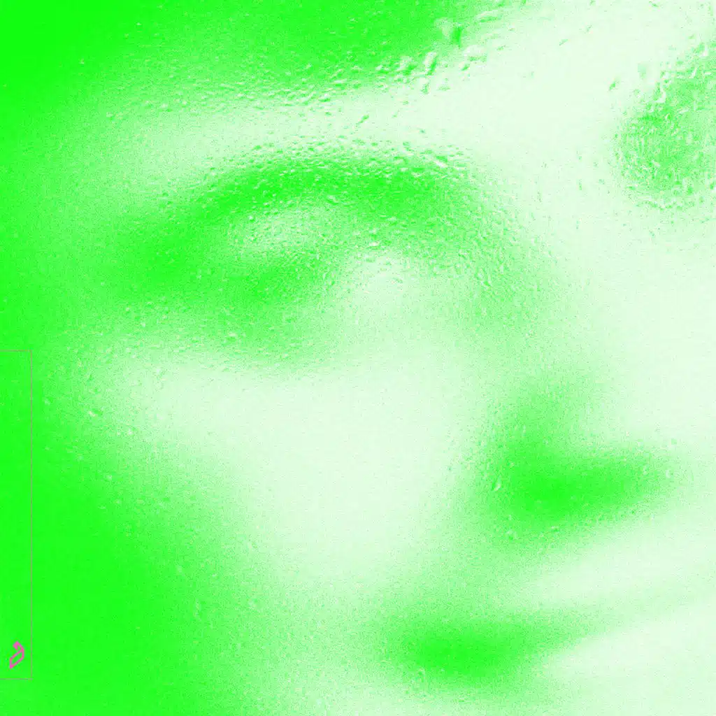 Miroir Miroir (Romain Garcia & Qrion Mixes) [feat. Everyone You Know]