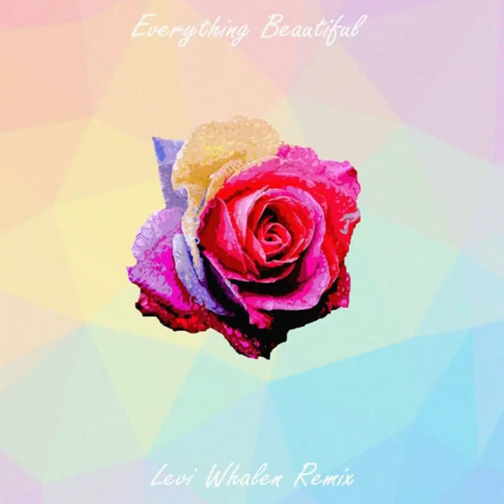 Everything Beautiful (Levi Whalen Remix)