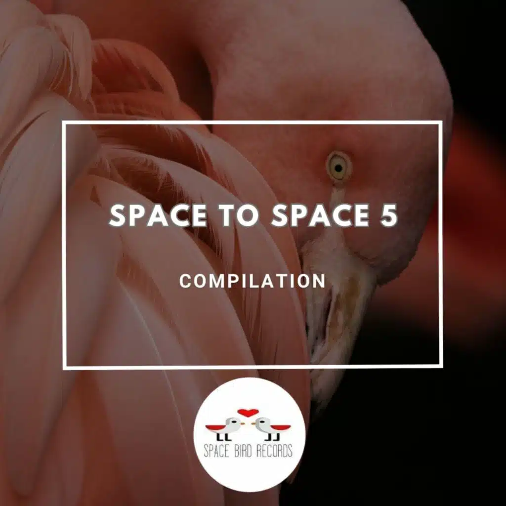 Mizt3r & Matt Gray (UK)