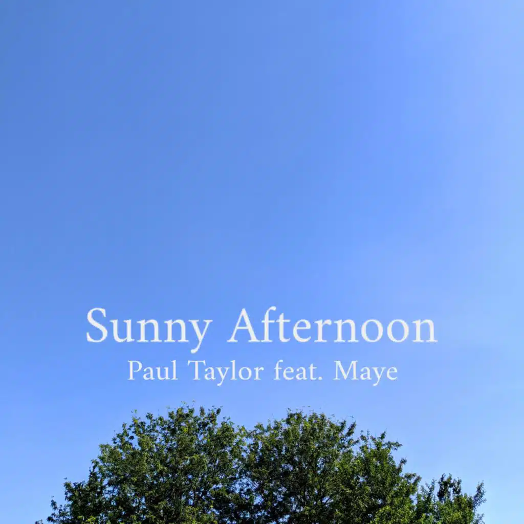 Sunny Afternoon (feat. maye)