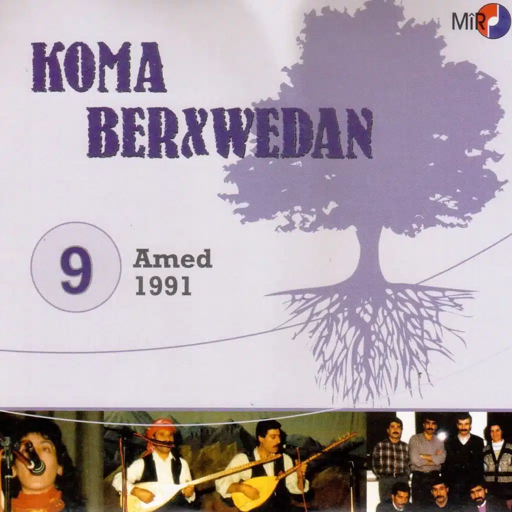 Amed, Vol. 9 (1991)