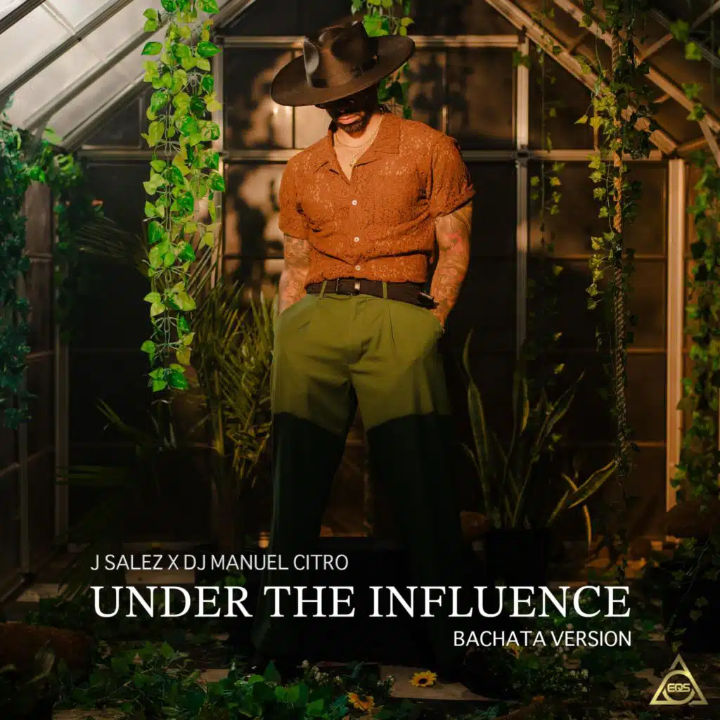 Under The Influence (Bachata Version)