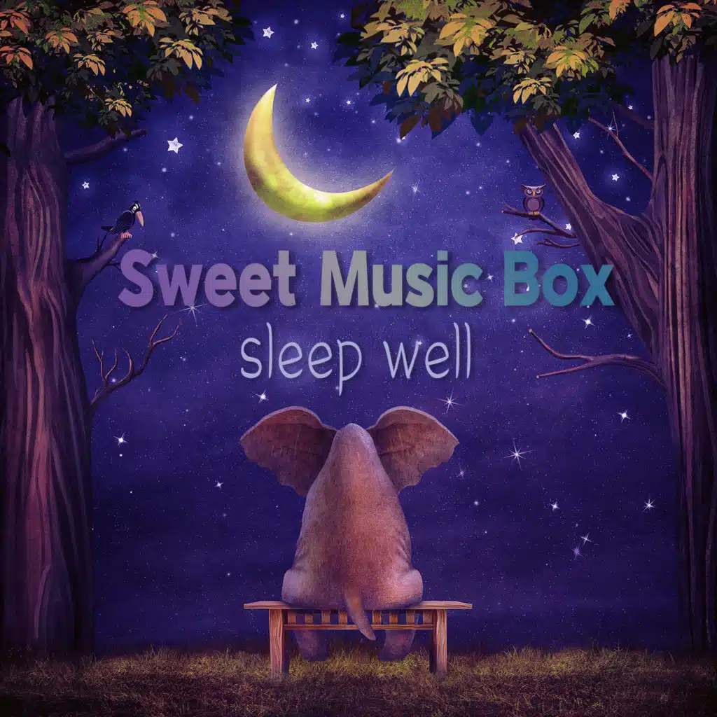 잔잔한 수면 브금 오르골