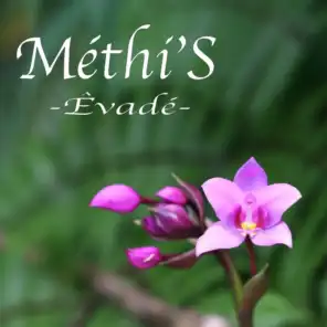 Methi's
