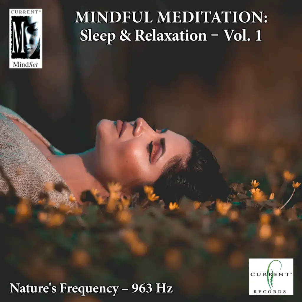 Mindful Meditations - Sleep & Relaxation, Vol. 1