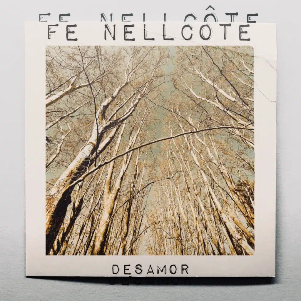 Fe Nellcote