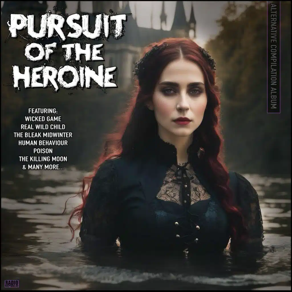 Pursuit Of The Heroine