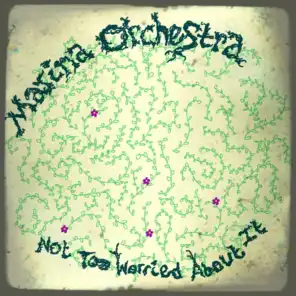 Marina Orchestra