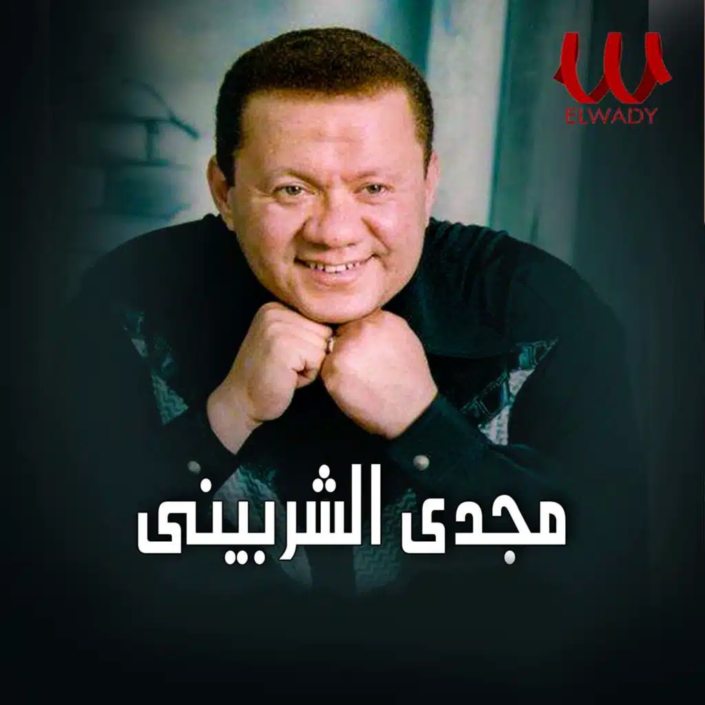 مجدي الشربيني