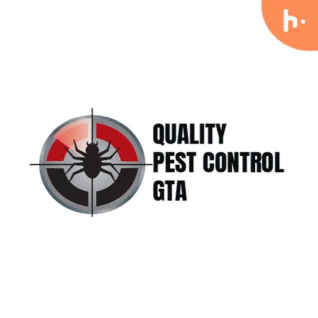 Pest Control In Scugog
