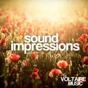 Sound Impressions, Vol. 14