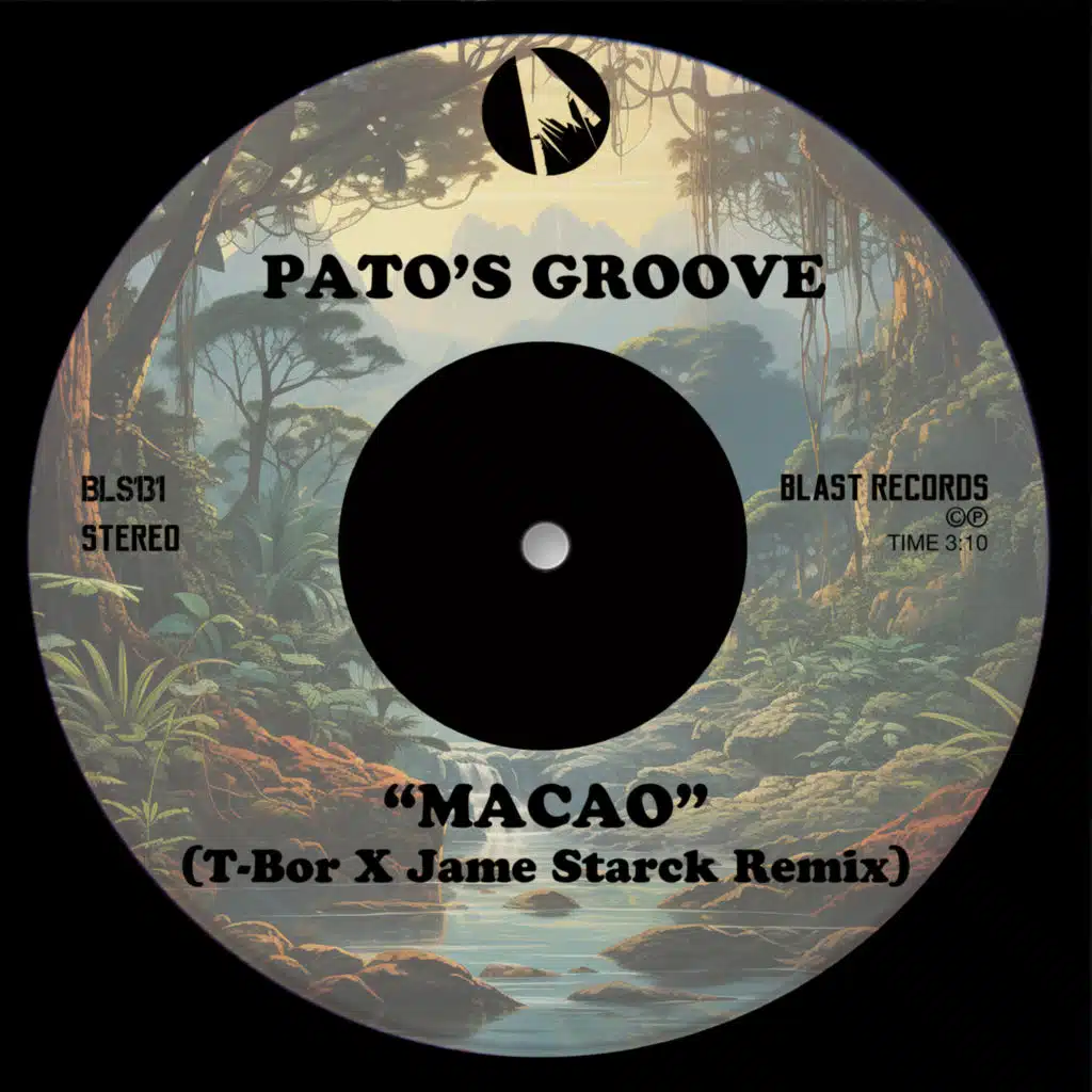 Pato's Groove