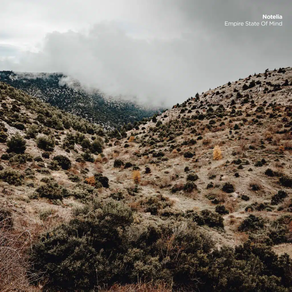 Empire State of Mind