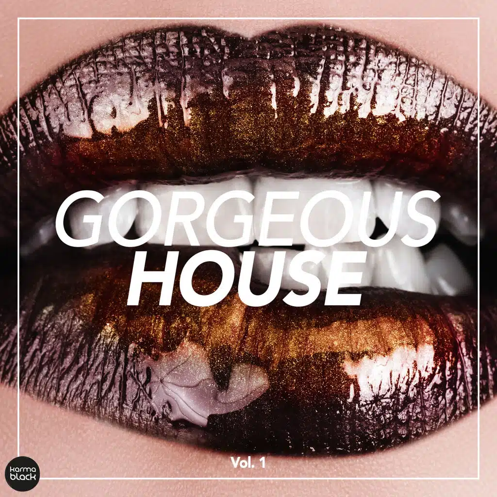 Gorgeous House, Vol. 1