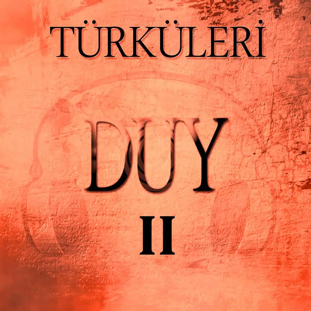 Türküleri Duy, Vol. 2