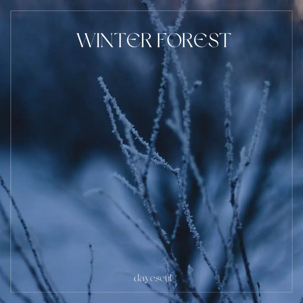 Winter Forest