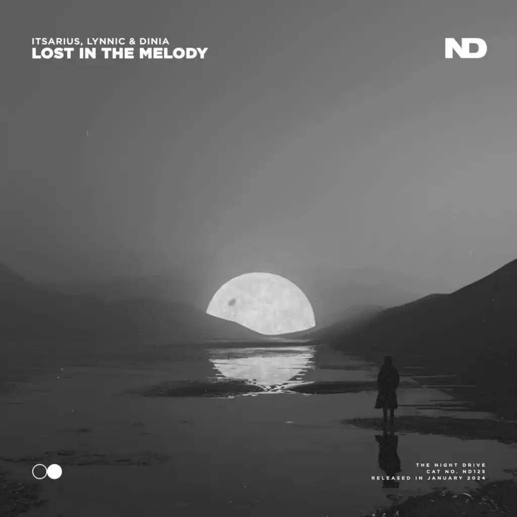 Lost In The Melody (Extended Mix)
