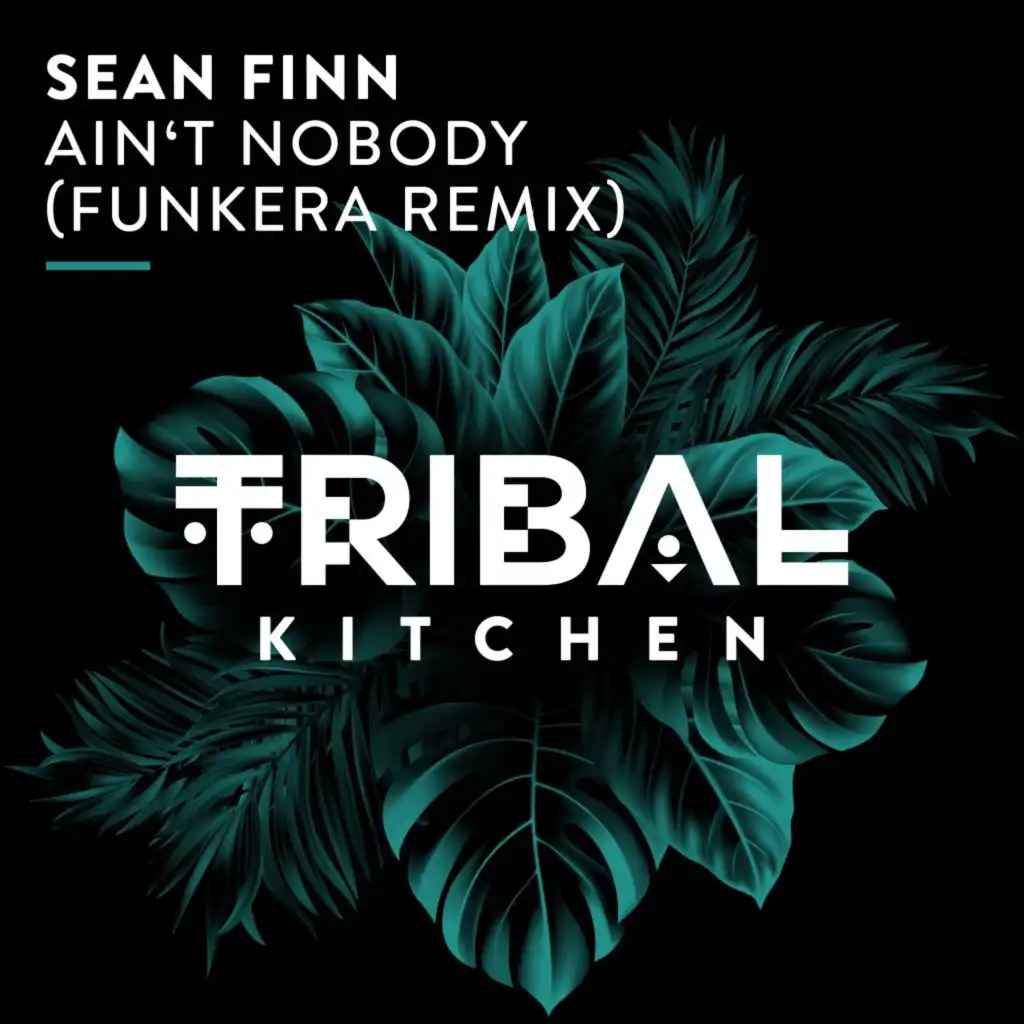 Ain't Nobody (Funkera Remix)