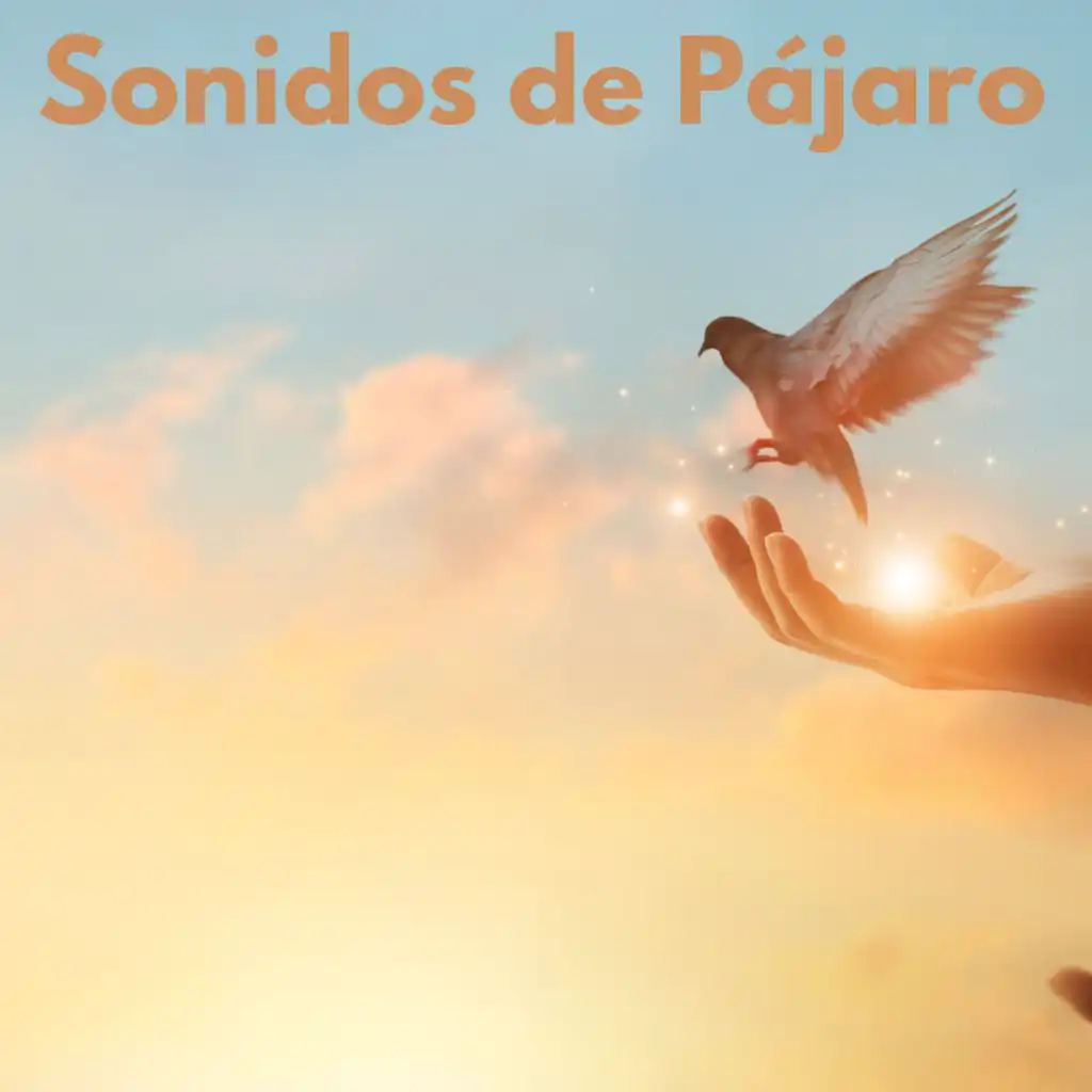 Sonidos de Pájaros